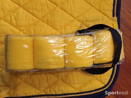 Equitation - Tapis dressage BR + bandes  - photo 5