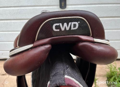 Equitation - Selle CWD mademoiselle 17 - photo 6
