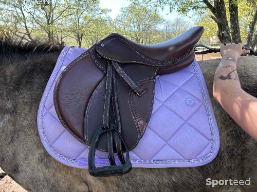 Equitation - Selle  - photo 6