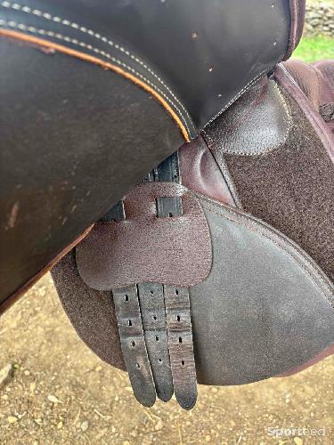 Equitation - Selle  - photo 6