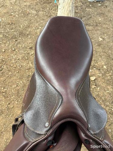 Equitation - Selle  - photo 6