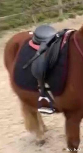 Equitation - Étrier flex on - photo 3