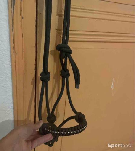 Equitation - Licol éthologique  - photo 6