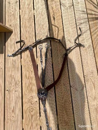 Equitation - Collier de chasse + Martingale COB en cuir havane foncé  - photo 5