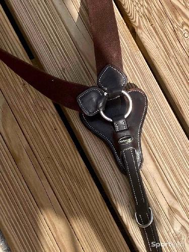 Equitation - Collier de chasse + Martingale COB en cuir havane foncé  - photo 5