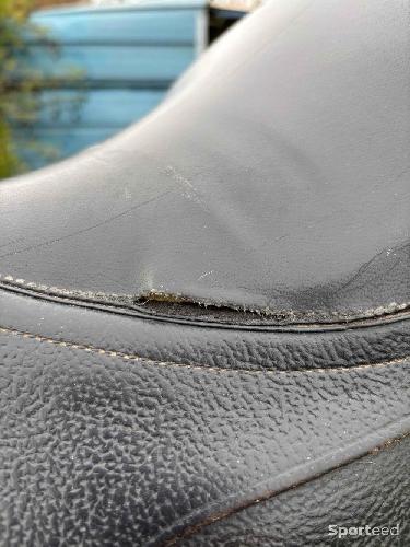 Equitation - Selle  - photo 5