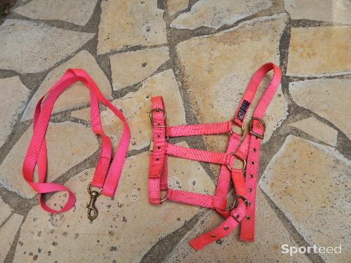 Equitation - licol + corde - photo 3