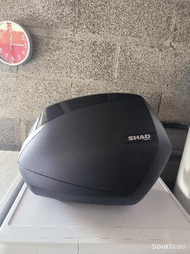 Valise rigide Can-am SHAD noir Ryker