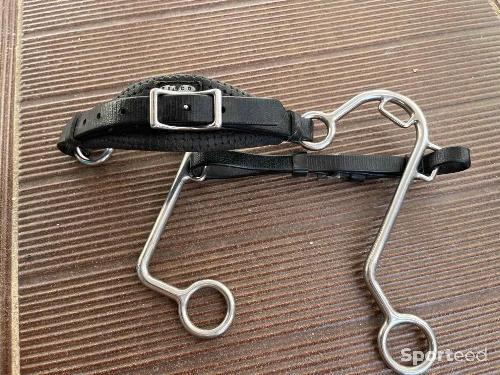 Hackamore