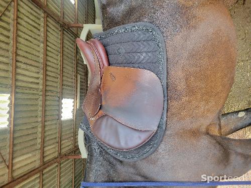 Equitation - Ensemble kentucky - photo 5