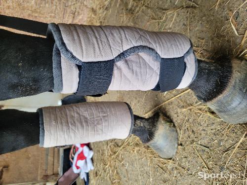 Equitation - Guetre  - photo 4
