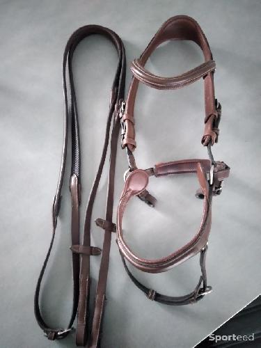 Bridon Jump'in sans rênes (taille cob)