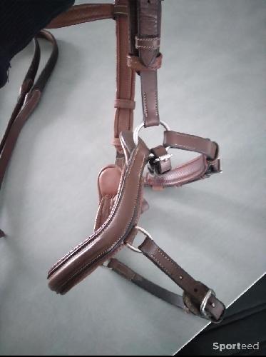 Equitation - Bridon Jump'in sans rênes (taille cob) - photo 5