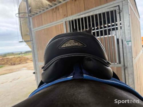 Equitation - Selle monoquartier equiline  - photo 6