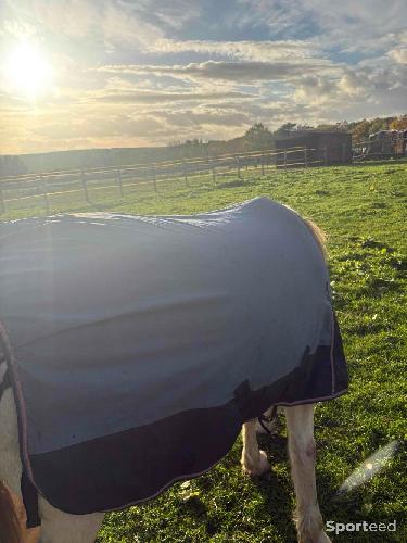 Equitation - Couverture HKM og - photo 5