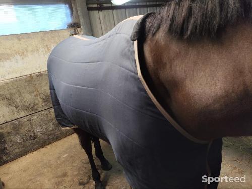 Equitation - Couverture d'écurie PullOver 50gr - photo 6