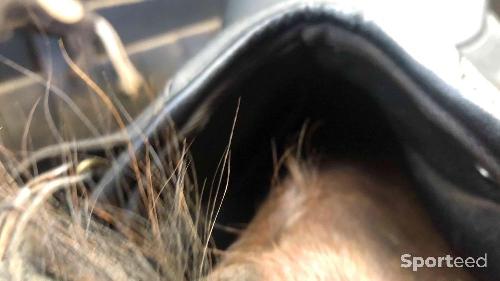 Equitation - Selle wintec 250 mixte 16,5 nue  - photo 3