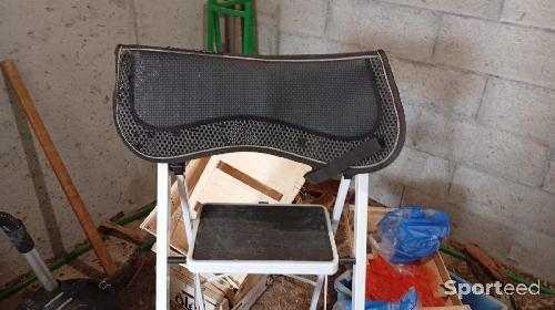 Amortisseur taille cheval