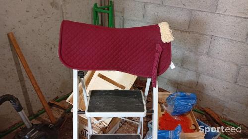 Equitation - Amortisseur taille cheval bordeaux  - photo 3