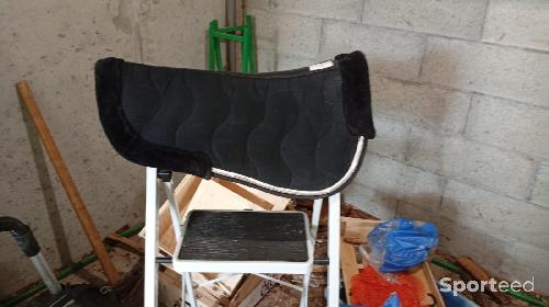 Amortisseur taille cheval noir et argenté