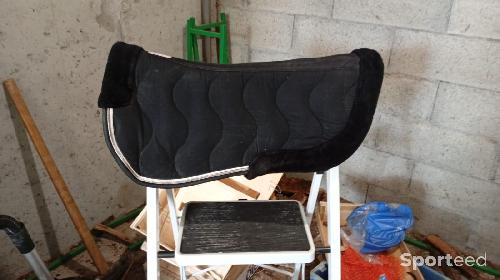 Equitation - Amortisseur taille cheval noir et argenté  - photo 3