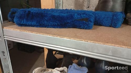 Protection pour licol cheval bleu