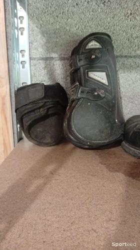 Protection taille cheval noir