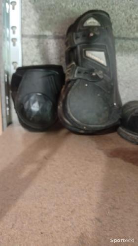 Equitation - Protection taille cheval noir  - photo 3