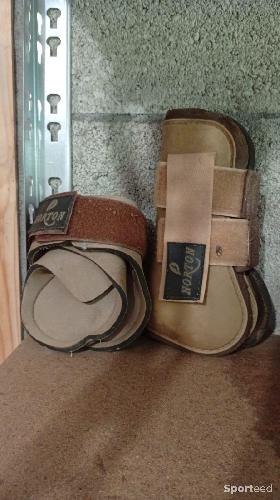 Protection taille poney marron clair