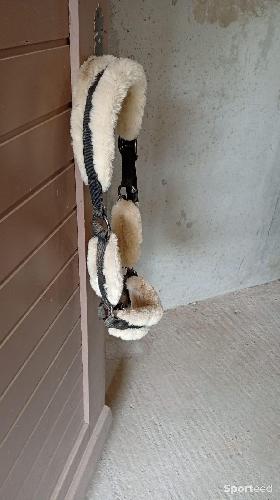 Licol taille cheval noir avec moumoute crème