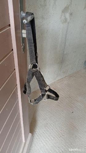 Equitation - Licol taille cob noir  - photo 5