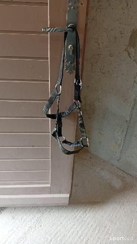 Equitation - Licol taille cob noir  - photo 5