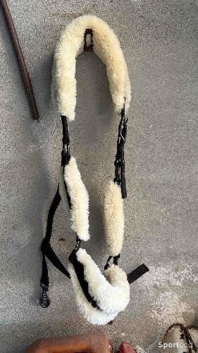 Licol Fouganza en mouton Taille Cheval