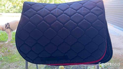 Matériel Équitation à vendre