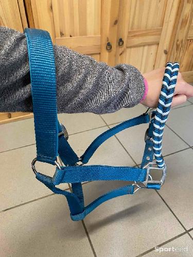 Equitation - Licol bleu Krämer - photo 5