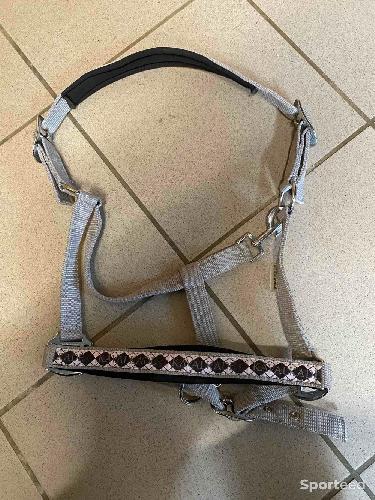 Licol gris kalvakade