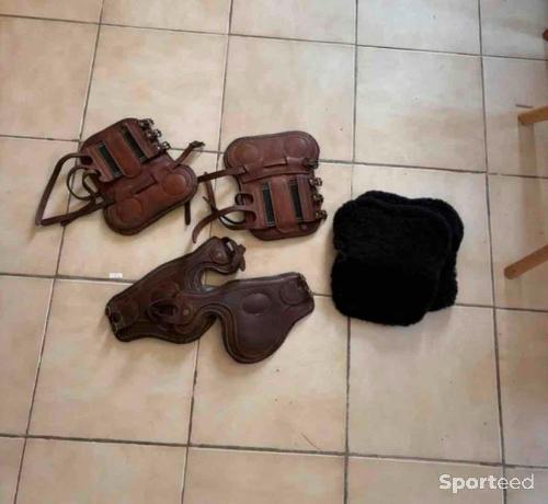 Lot protections cheval Guêtres Forestier + Protège-boulets Bruno Delgrange + moutons