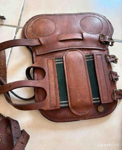 Equitation - Lot protections cheval Guêtres Forestier + Protège-boulets Bruno Delgrange + moutons - photo 6