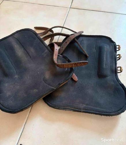 Equitation - Lot protections cheval Guêtres Forestier + Protège-boulets Bruno Delgrange + moutons - photo 6