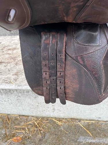 Selle Roméo Fouganza brune 17,5