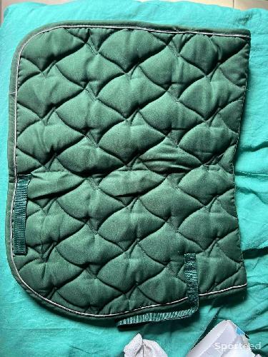 Amortisseur, tapis vert, collier de chasse 