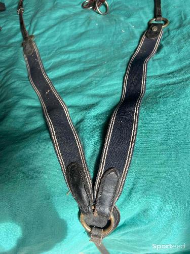 Equitation - Amortisseur, tapis vert, collier de chasse  - photo 5