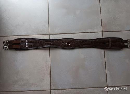 Equitation - Sangle anatomique confort Norton - photo 6