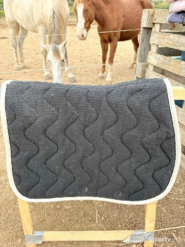 Equitation - Tapis Harcour beige / blanc crème liseré rose corail – mixte dressage / CSO - photo 6