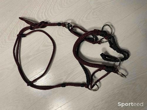 Equitation - Bride customisée sans mors pour cheval en corde à tirage latéral, hackmore  - photo 4