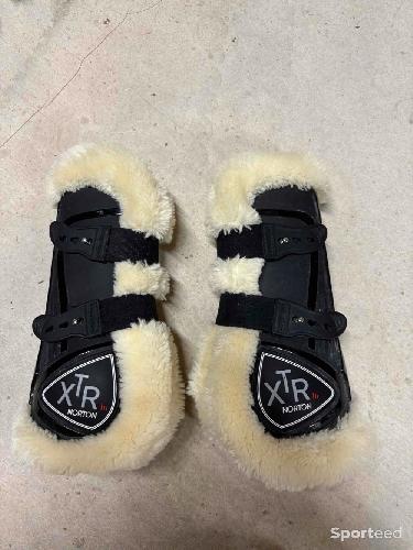 Guêtre xtr Norton cheval 