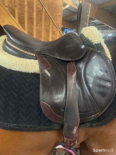 Equitation - Selle cwd - photo 6