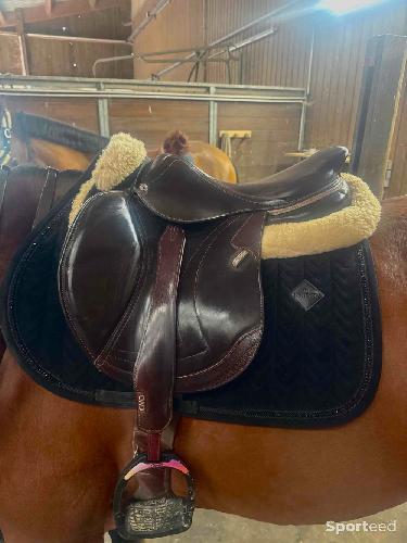 Equitation - Selle cwd - photo 6