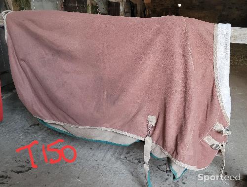 Equitation - Couverture intérieure  - photo 6