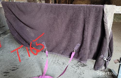 Equitation - Couverture intérieure  - photo 6